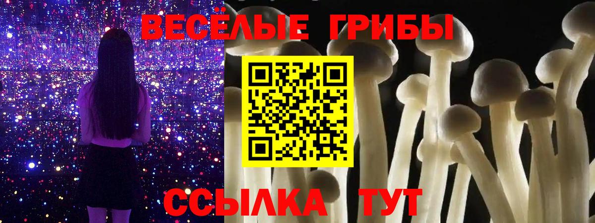 Кыштым  Псилоцибиновые грибы MAGIC MUSHROOMS  Галлюциногенные грибы Psilocybine cubensis  Вход с VPN 